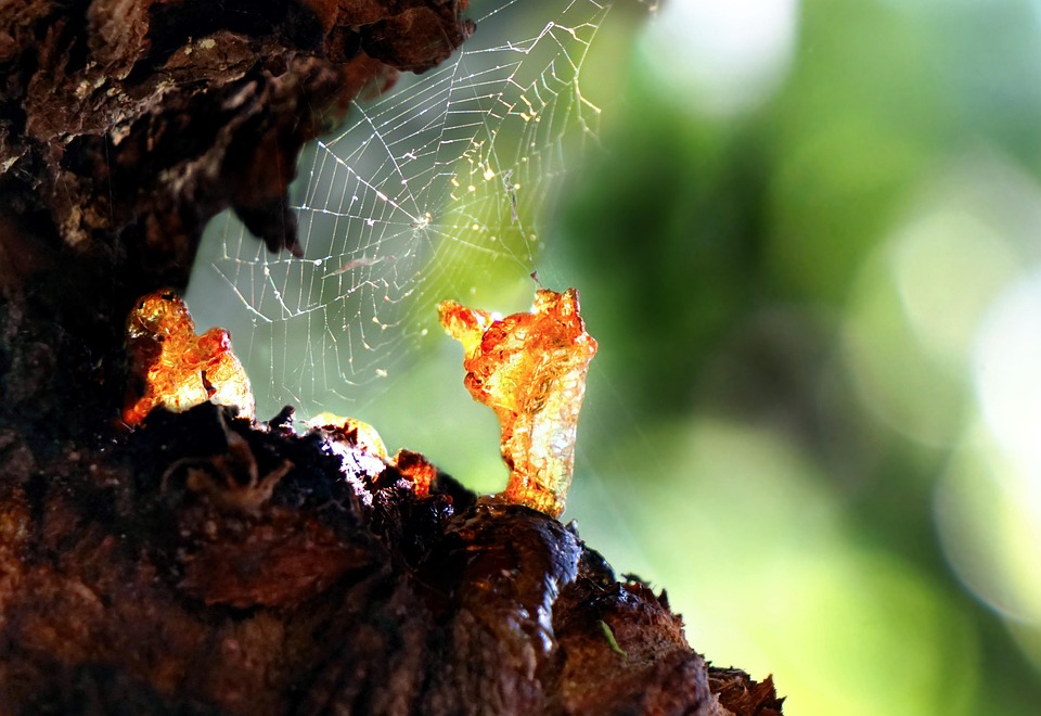 epoxy resin defoamer